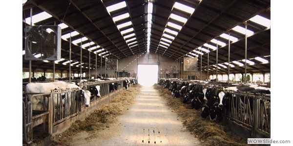 oude stal